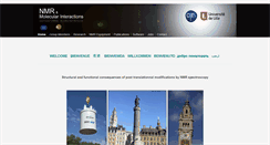 Desktop Screenshot of groupe-rmn-modelisation.univ-lille1.fr