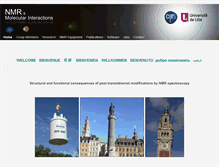 Tablet Screenshot of groupe-rmn-modelisation.univ-lille1.fr